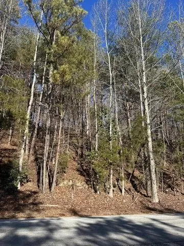 4 NW Lower River Rd, Charleston, TN 37310