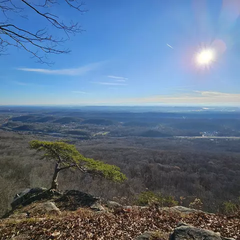 4710 Chestnut Ave, Signal Mountain, TN 37377