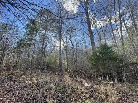 1559 Wolf Creek Rd, Mineral Bluff, GA 30559