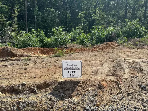 12 The Mdws, Riceville, TN 37370