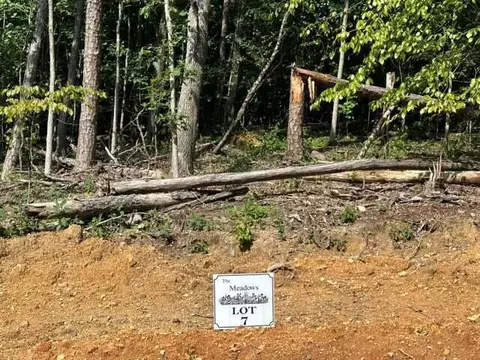 7 The Mdws, Riceville, TN 37370