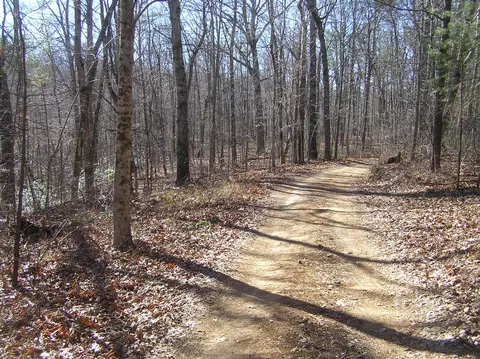 1175 Deerhead Rd, Dunlap, TN 37327 photo 2
