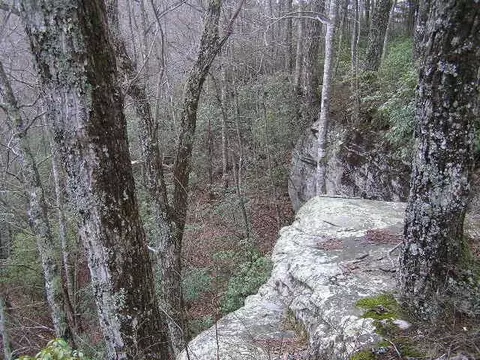 1175 Deerhead Rd, Dunlap, TN 37327 photo 18