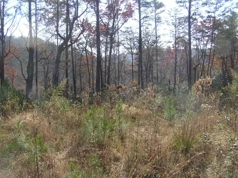 1175 Deerhead Rd, Dunlap, TN 37327 photo 9