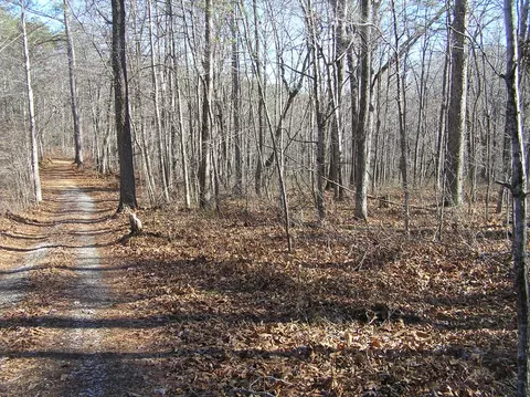1175 Deerhead Rd, Dunlap, TN 37327 photo 8