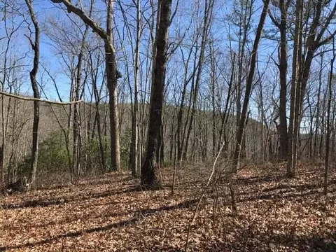 1175 Deerhead Rd, Dunlap, TN 37327 photo 21