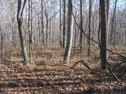 1175 Deerhead Rd, Dunlap, TN 37327 photo 11