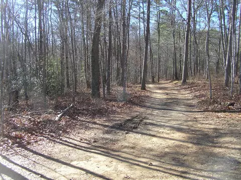 1175 Deerhead Rd, Dunlap, TN 37327 photo 6