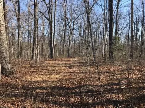 1175 Deerhead Rd, Dunlap, TN 37327 photo 23