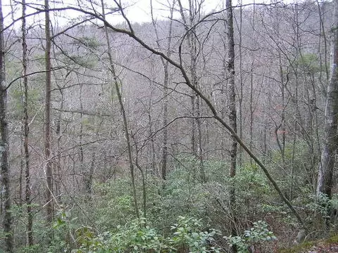 1175 Deerhead Rd, Dunlap, TN 37327 photo 16