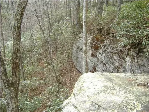1175 Deerhead Rd, Dunlap, TN 37327 photo 5