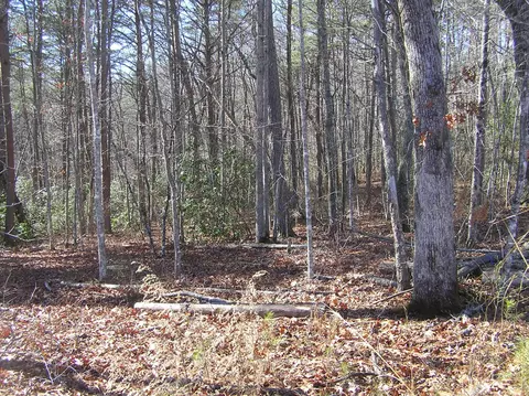 1175 Deerhead Rd, Dunlap, TN 37327 photo 26