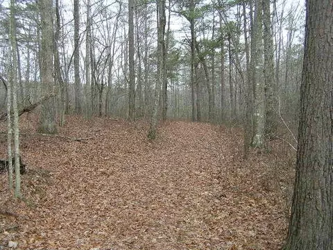 1175 Deerhead Rd, Dunlap, TN 37327 photo 14