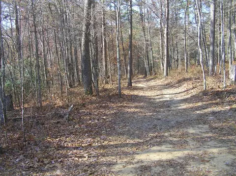 1175 Deerhead Rd, Dunlap, TN 37327 photo 7