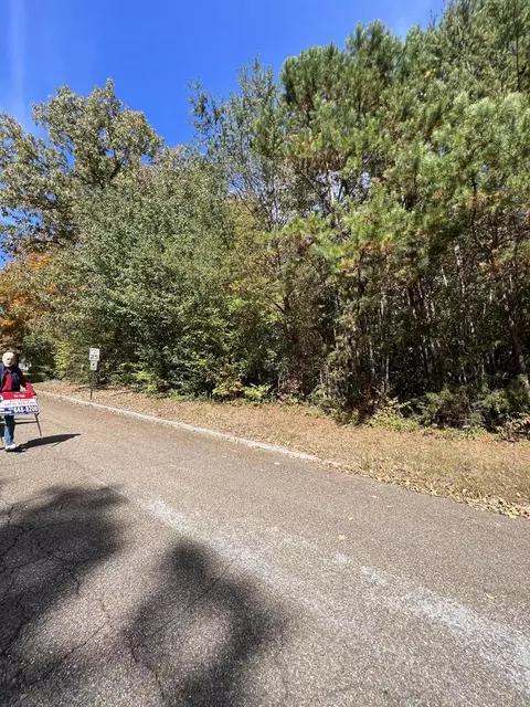 0 Delashmitt Rd, Hixson, TN 37343