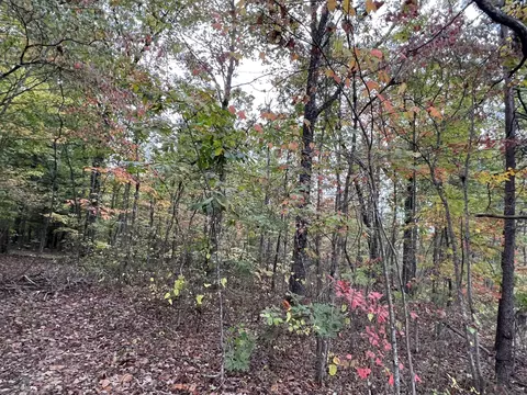 0 Deerhead Rd, Dunlap, TN 37327 photo 1
