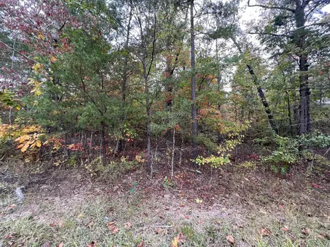 0 Deerhead Rd, Dunlap, TN 37327 photo 5