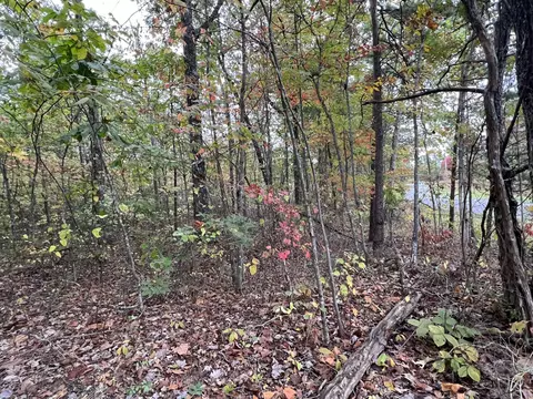 0 Deerhead Rd, Dunlap, TN 37327 photo 2