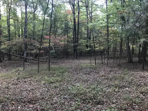 57 Deer Point Dr, Dunlap, TN 37327