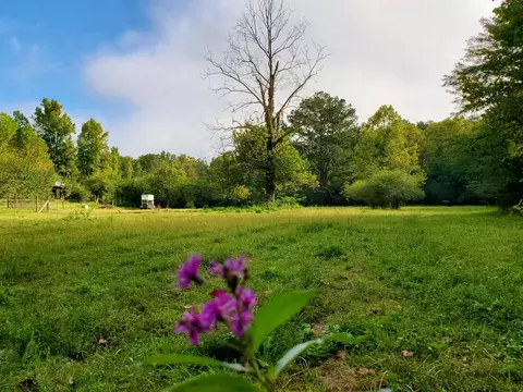 164 Craig Ln, Decatur, TN 37322