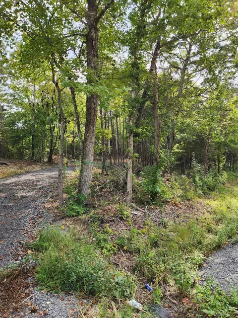 0 Huff Bend Ln, Ten Mile, TN 37880