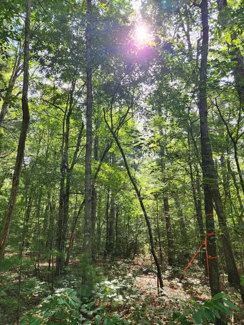 0 Rocky Pt, Crossville, TN 38571