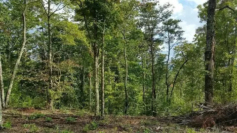 53 Bluff View Dr, Dunlap, TN 37327 photo 2