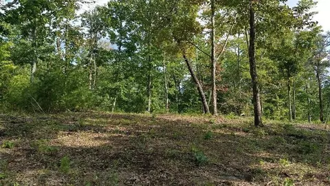 53 Bluff View Dr, Dunlap, TN 37327 photo 3