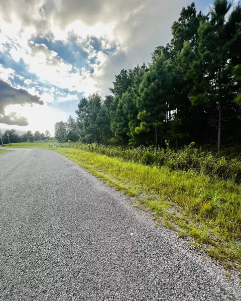 1750 Browns Trace Rd, South Pittsburg, TN 37380