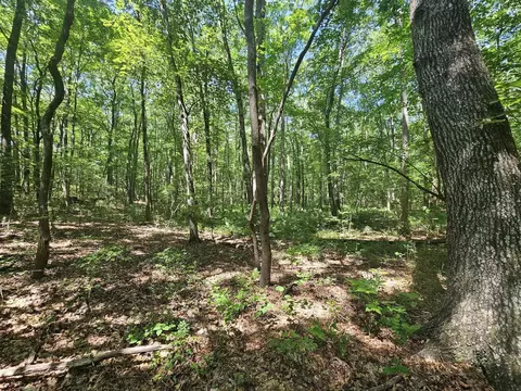 0 Snake Pond Rd, Sewanee, TN 37375