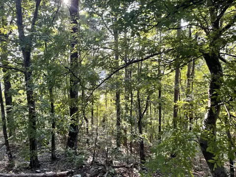 9675 Switchback Trl, Ooltewah, TN 37363 photo 12