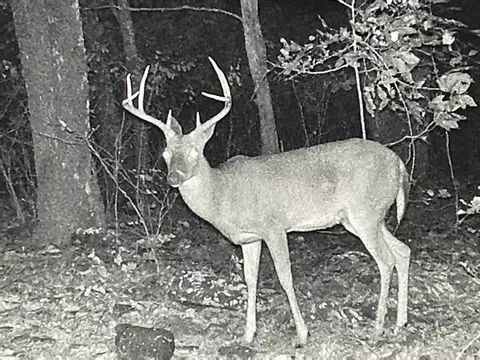 9675 Switchback Trl, Ooltewah, TN 37363 photo 18