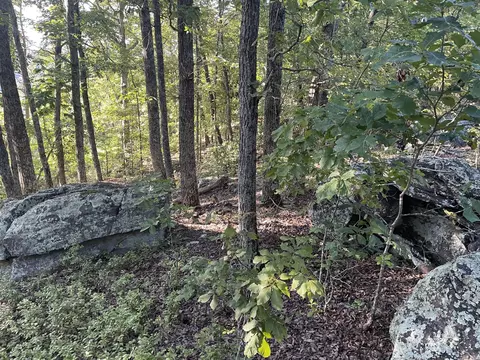 9675 Switchback Trl, Ooltewah, TN 37363 photo 14