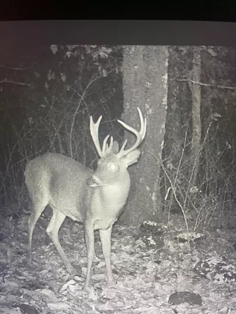 9675 Switchback Trl, Ooltewah, TN 37363 photo 22