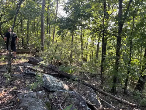 9675 Switchback Trl, Ooltewah, TN 37363 photo 13