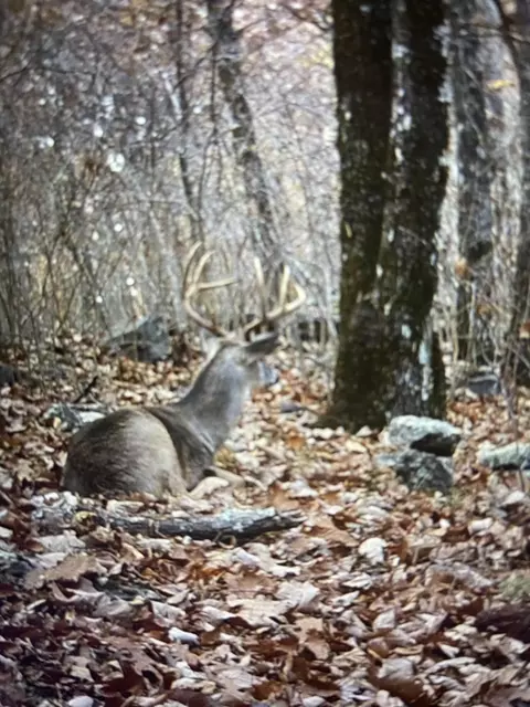 9675 Switchback Trl, Ooltewah, TN 37363 photo 21