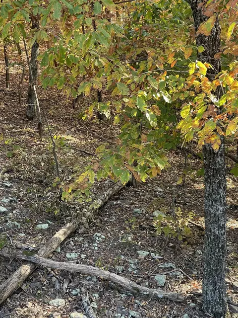 9675 Switchback Trl, Ooltewah, TN 37363 photo 19