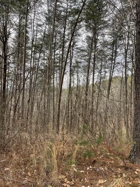 678 Bill Milen Rd, Old Fort, TN 37362