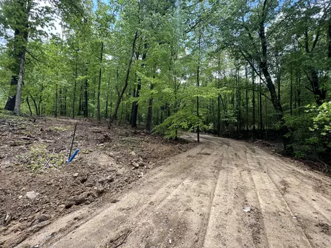 438 Skye Ln, Hixson, TN 37343 photo 9