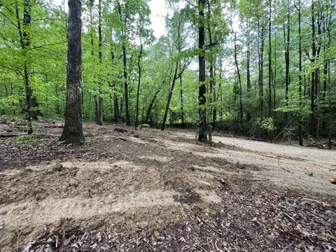 438 Skye Ln, Hixson, TN 37343 photo 15