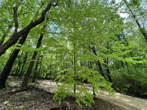 438 Skye Ln, Hixson, TN 37343 photo 11