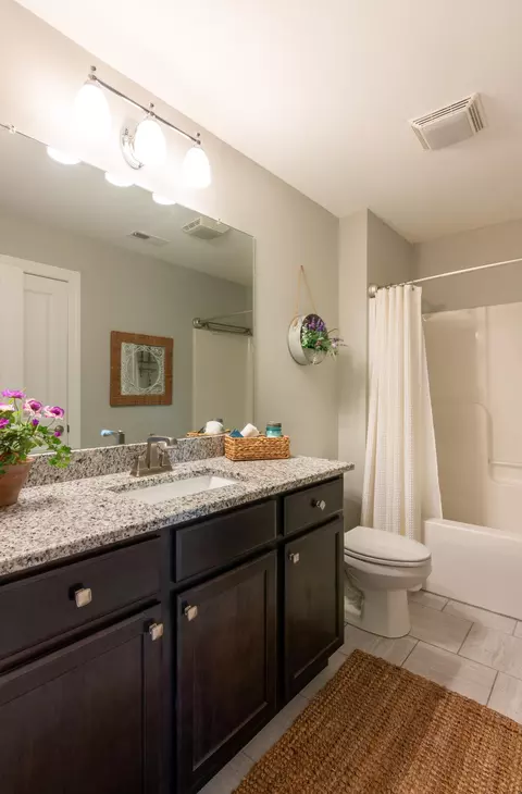 8519 River Birch Loop, Ooltewah, TN 37363 photo 36