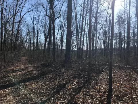 6 Deerhead Rd, Dunlap, TN 37327 photo 7