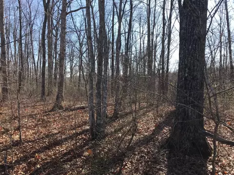 6 Deerhead Rd, Dunlap, TN 37327 photo 4