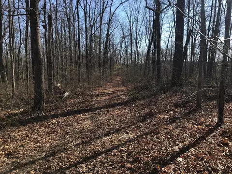 6 Deerhead Rd, Dunlap, TN 37327 photo 2