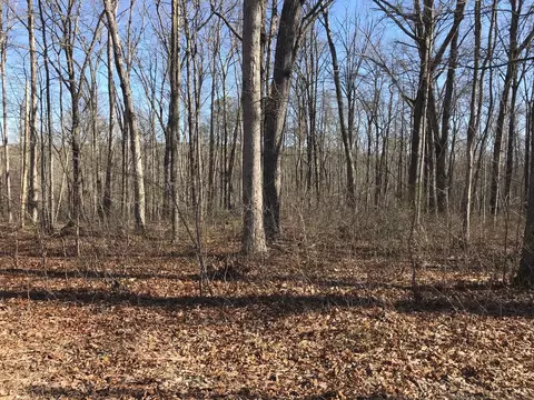 6 Deerhead Rd, Dunlap, TN 37327