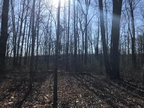 6 Deerhead Rd, Dunlap, TN 37327 photo 5