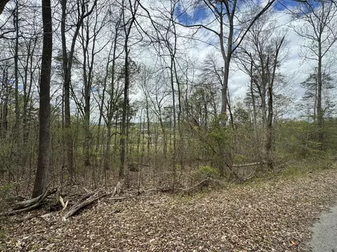 91 Butterfly Cove Trl, Decatur, TN 37322