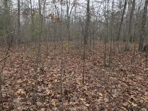 528 Bluff View Dr, Dunlap, TN 37327 photo 7