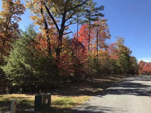 528 Bluff View Dr, Dunlap, TN 37327 photo 3